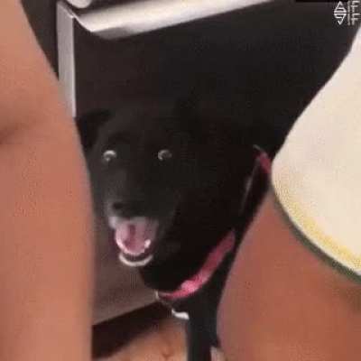 Surprise