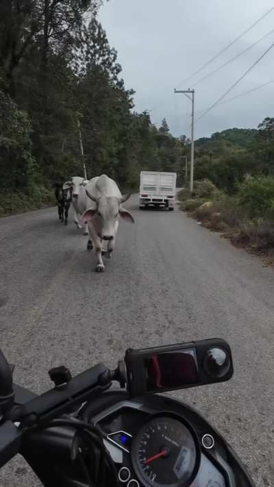 Bad day to be on a motorcycle