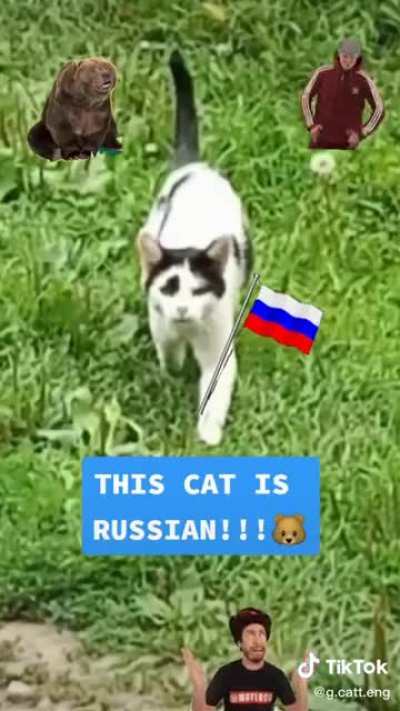 Cat-calling
