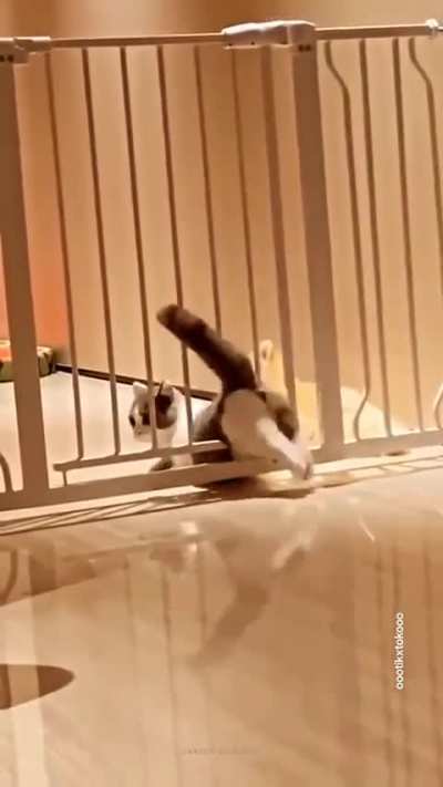Watch till end to laugh out loud ! ??