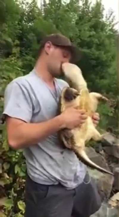 Kissing a snapping turtle