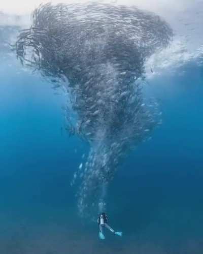 ? Cabo Pulmo's Jack tornado