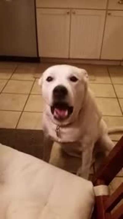 Blah, blah, blah