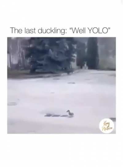 oh shit ?