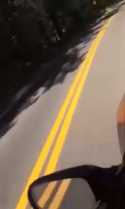 Skateboarding on a dead car ?