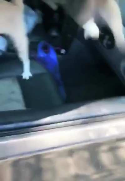 POV - you’re just walking to your car