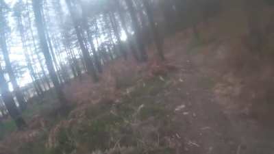 Going to quick and missing the landing...