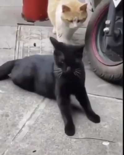 The wife doesn’t look happy ?