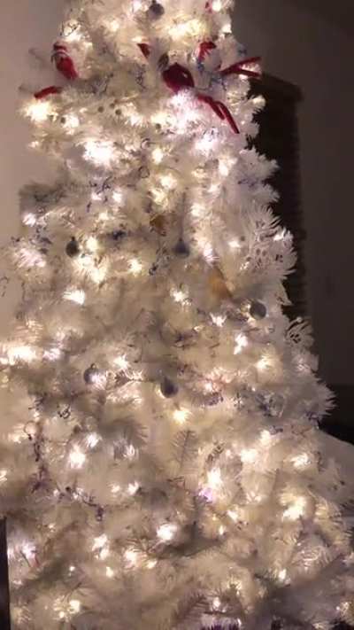 ‘Tis the season