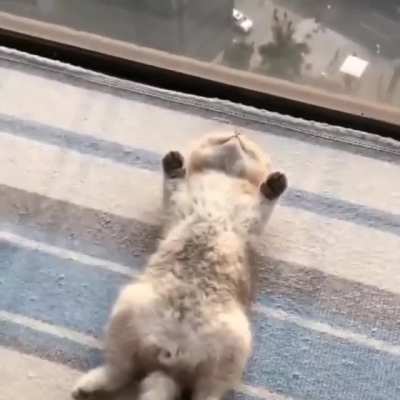 RECHARGE!!!!!!