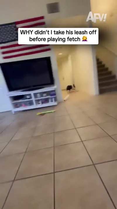 Playing fetch