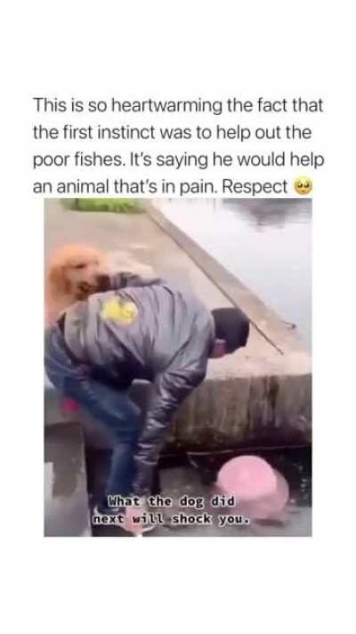 It’s cliché... But I swear we don’t deserve dogs ?