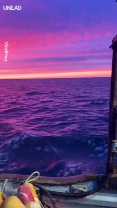 ? Colorful lights of the sky reflecting the ocean