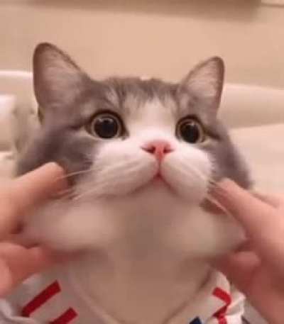 Squishy boi