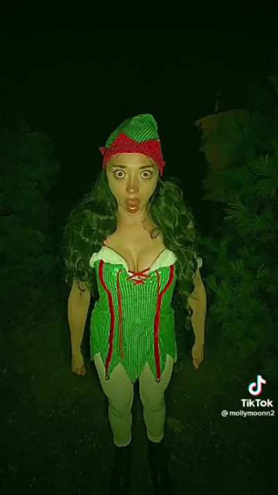 Santa's Little helper