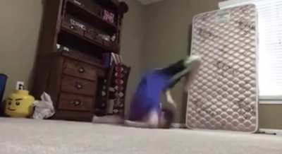 what did he think was gonna happen