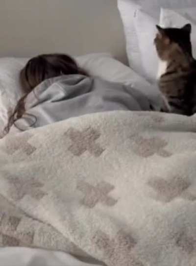 Morning alarm.