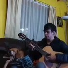 A lovely song