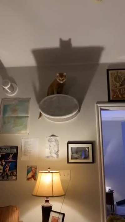 all hail kevin