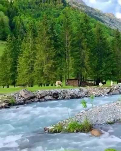 ? Beautiful Switzerland nature