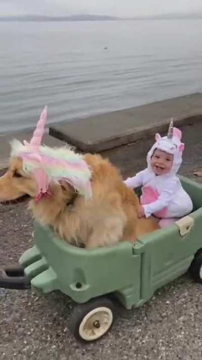 We need unicorns