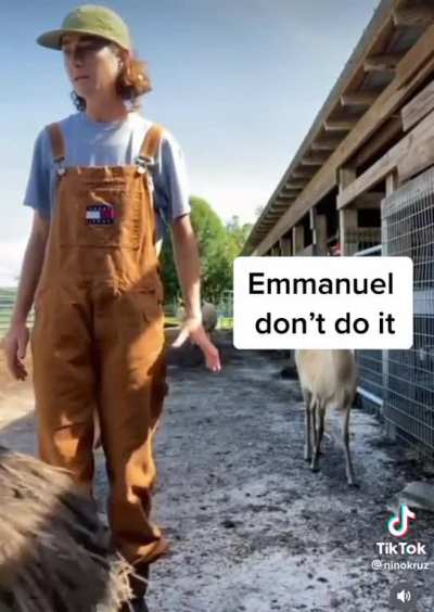 Emmanuel just wanted to be in the video ?