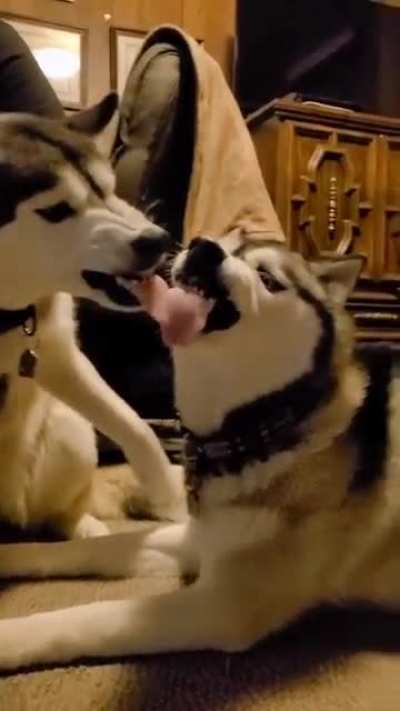 It’s love???