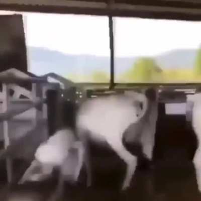 "Shouldn’t have touched my mom"