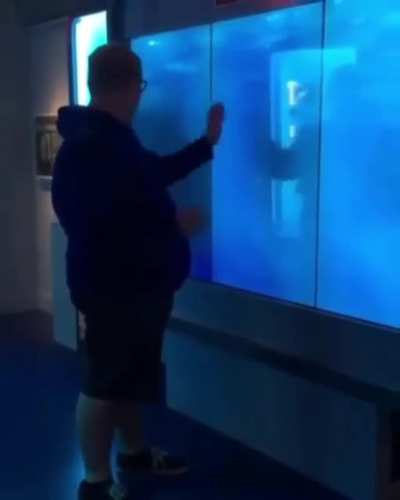 The fish are very friendly, so adorable!