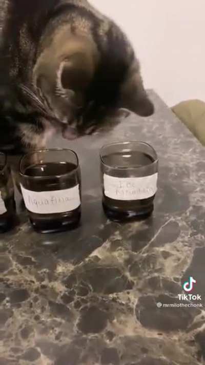 Such a fine taster?this made me laugh really hard