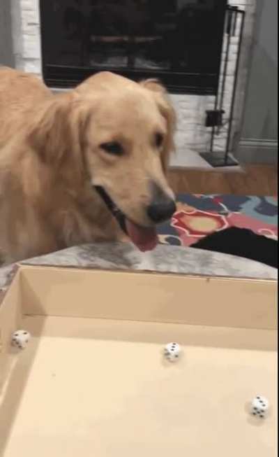 Can I play too??