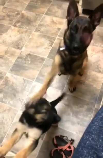 "Dude she said SIT"