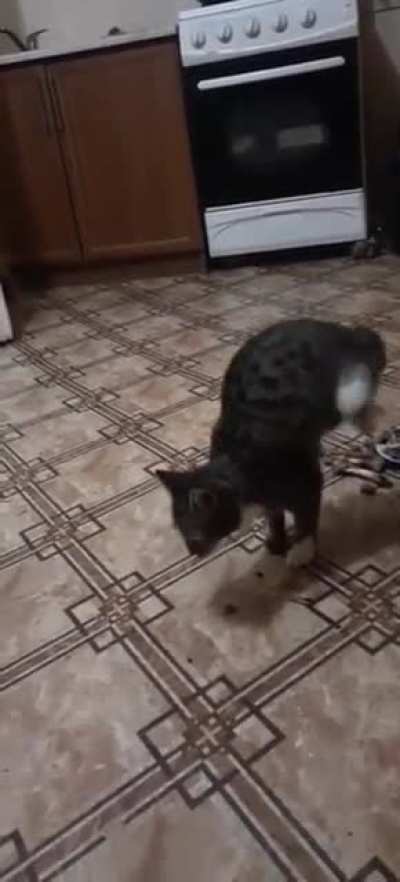Walking derp