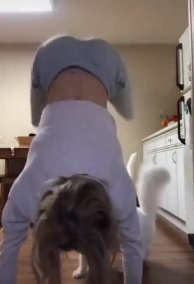 HMC while I dance