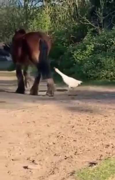 Wind Your Neck in!