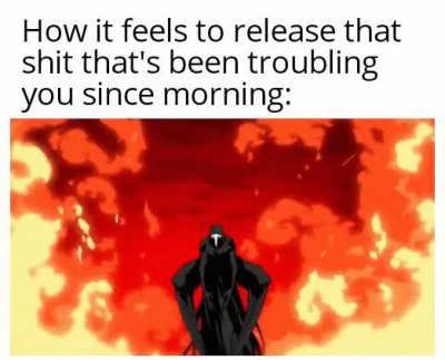 This meme was made in the toilet.