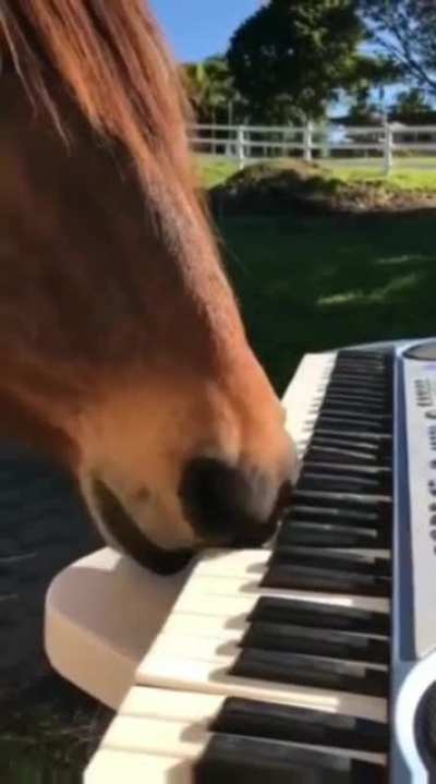 Beautiful melody