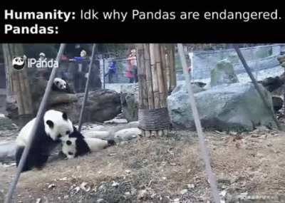 idk why...