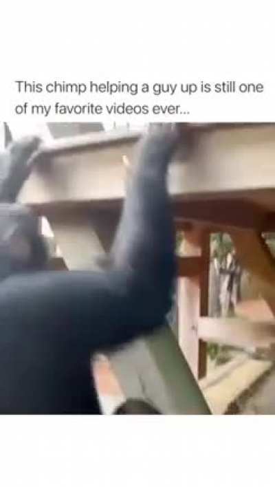 The fist bump at the end ?