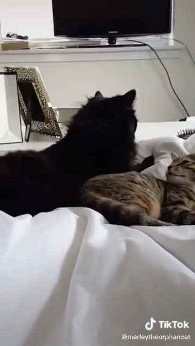 “I love you...but not too much”