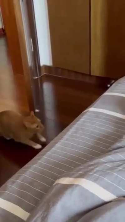 perfect landing