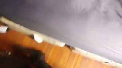"They'll never find me here"