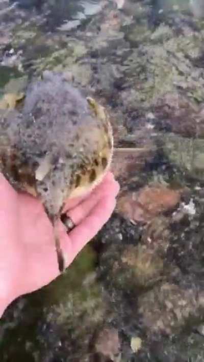 Maybe Maybe Maybe