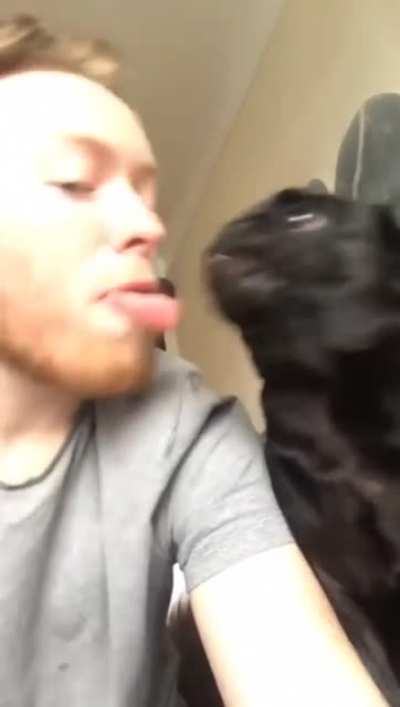 "How do you like it?"
