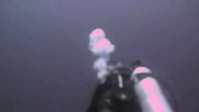 ?Diver has a very close encounter with a shark as he gets attacked, luckily he didn't suffer any injuries