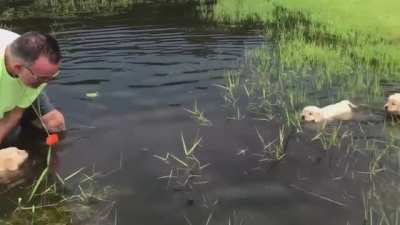 Swimming lesson