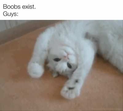 Lemme get a squeeze