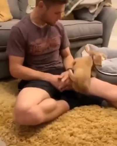 Smol zoomies
