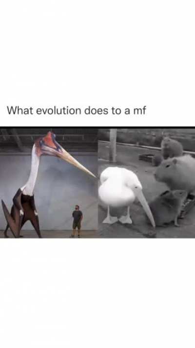 he was regretting how evolution turned out for him.