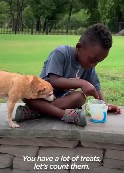 A little boy and his best friend